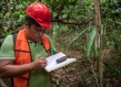 Forest worker
