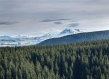 New Zealand 1