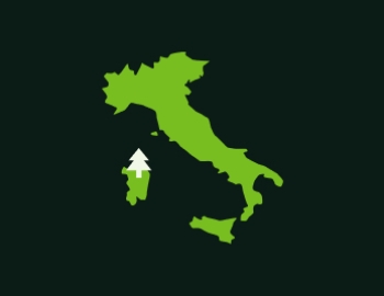 Italy icon